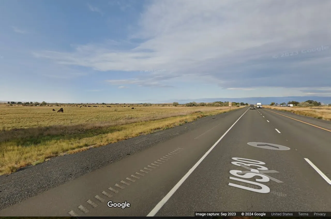 Court Rules Parts of I-84, I-5 in Rural Oregon as 'Open Range' for Cattle