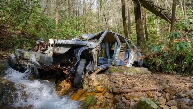 Heroic Oregon Dog Travels 4 Miles to Rescue Owner After Car Crash: A Remarkable Tale of Loyalty