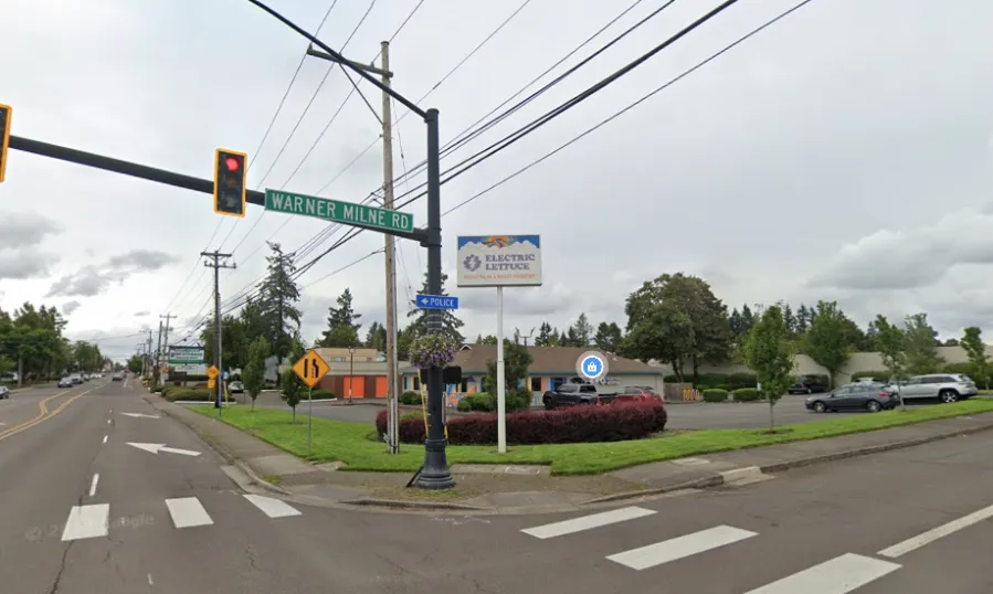 Oregon City Hit-and-Run: Driver Fleeing Scene with Festive Lights on Window Sought