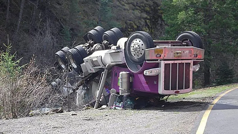 Salmon Smolts Spill from Truck Crash in Oregon, Creating Unlikely River Escape