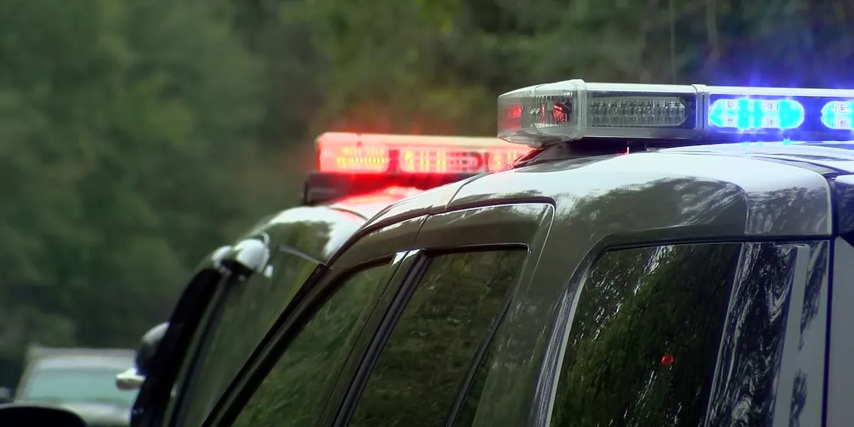 Tragic Highway 224 Collision Claims Life of Driver in Clackamas County